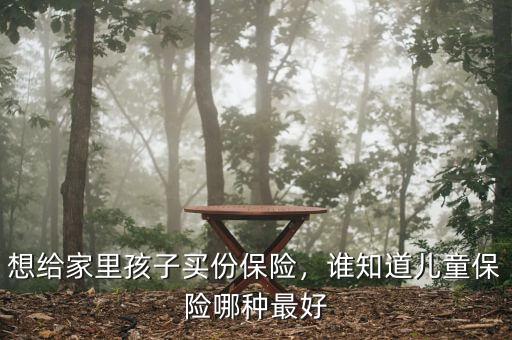 想給家里孩子買份保險(xiǎn)，誰(shuí)知道兒童保險(xiǎn)哪種最好
