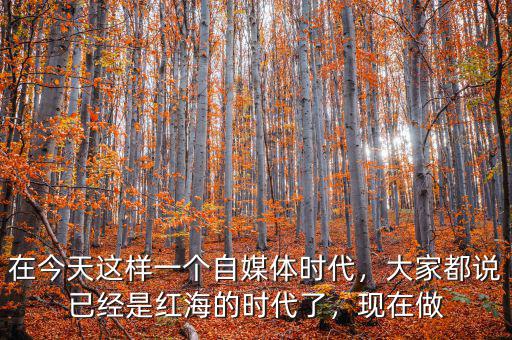 在今天這樣一個自媒體時代，大家都說已經(jīng)是紅海的時代了，現(xiàn)在做