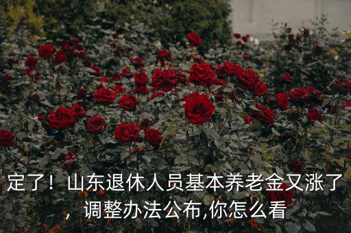 定了！山東退休人員基本養(yǎng)老金又漲了，調(diào)整辦法公布,你怎么看