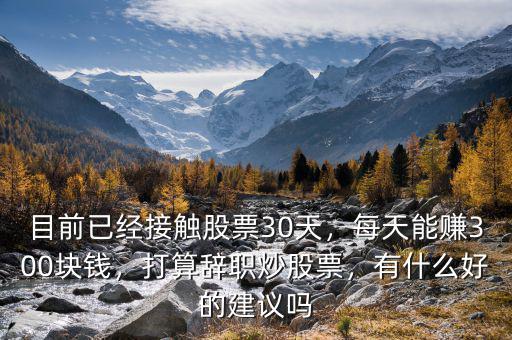目前已經(jīng)接觸股票30天，每天能賺300塊錢(qián)，打算辭職炒股票，有什么好的建議嗎