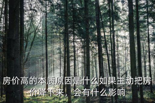 房價高的本質原因是什么如果主動把房價降下來，會有什么影響