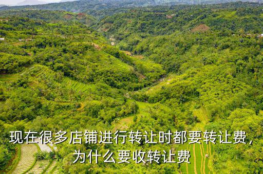 為什么會有轉讓費,為什么要收轉讓費