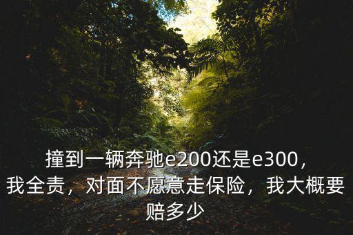 撞到一輛奔馳e200還是e300，我全責(zé)，對(duì)面不愿意走保險(xiǎn)，我大概要賠多少