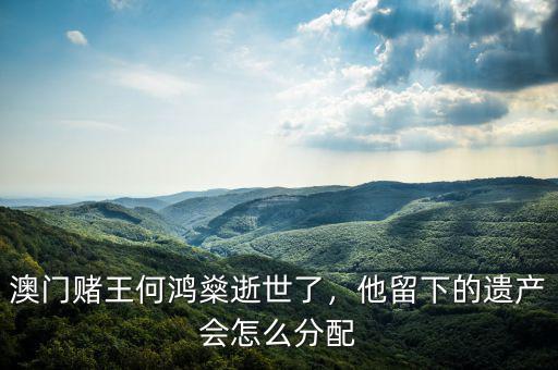 澳門(mén)賭王何鴻燊逝世了，他留下的遺產(chǎn)會(huì)怎么分配