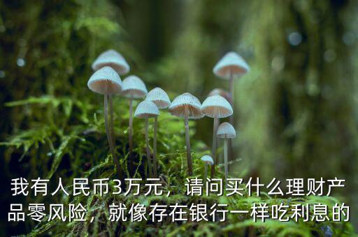 我有人民幣3萬元，請問買什么理財(cái)產(chǎn)品零風(fēng)險(xiǎn)，就像存在銀行一樣吃利息的