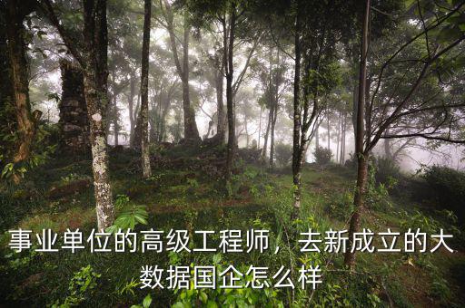 事業(yè)單位的高級(jí)工程師，去新成立的大數(shù)據(jù)國(guó)企怎么樣