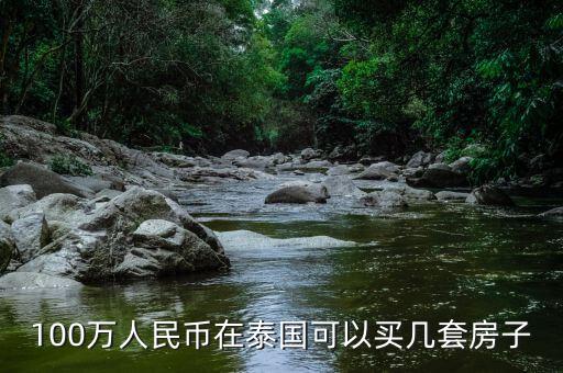 100萬(wàn)人民幣在泰國(guó)可以買(mǎi)幾套房子