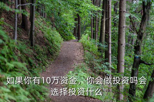 如果你有10萬(wàn)資金，你會(huì)做投資嗎會(huì)選擇投資什么