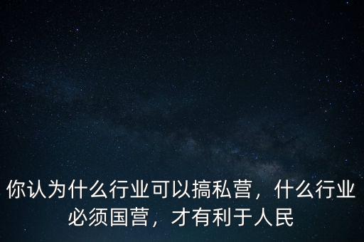 你認(rèn)為什么行業(yè)可以搞私營，什么行業(yè)必須國營，才有利于人民