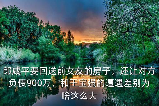 郎咸平要回送前女友的房子，還讓對方負(fù)債900萬，和王寶強的遭遇差別為啥這么大