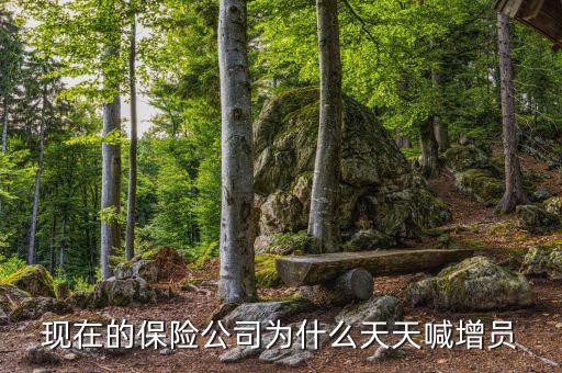 保險公司為什么要增員,保險公司為什么要增員