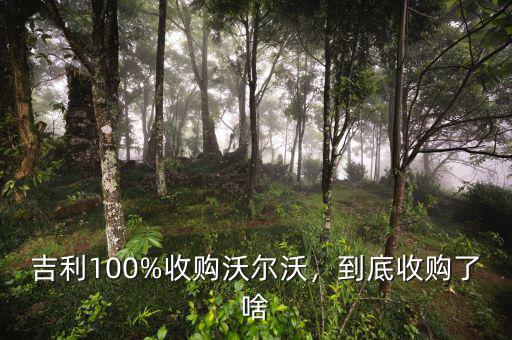 吉利100%收購沃爾沃，到底收購了啥