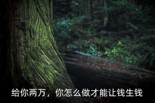 給你兩萬(wàn)，你怎么做才能讓錢生錢
