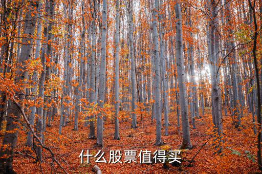 什么股票值得買(mǎi)