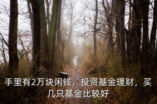 手里有2萬塊閑錢，投資基金理財(cái)，買幾只基金比較好