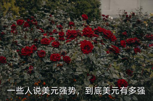 一些人說美元強勢，到底美元有多強