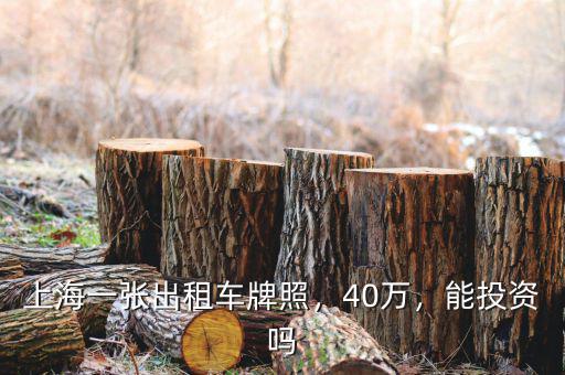 上海一張出租車(chē)牌照，40萬(wàn)，能投資嗎