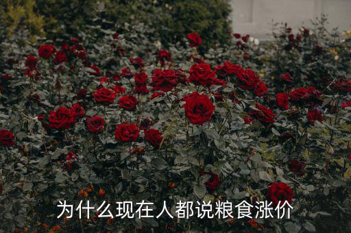 為什么現(xiàn)在人都說(shuō)糧食漲價(jià)