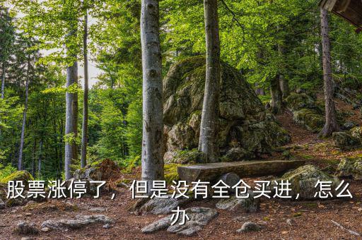 股票漲停了，但是沒有全倉買進(jìn)，怎么辦
