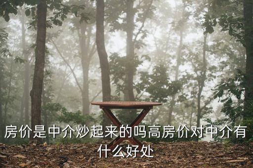 房?jī)r(jià)是中介炒起來的嗎高房?jī)r(jià)對(duì)中介有什么好處