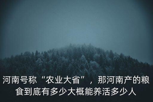 河南號稱“農(nóng)業(yè)大省”，那河南產(chǎn)的糧食到底有多少大概能養(yǎng)活多少人