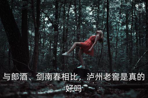 與郎酒、劍南春相比，瀘州老窖是真的好嗎