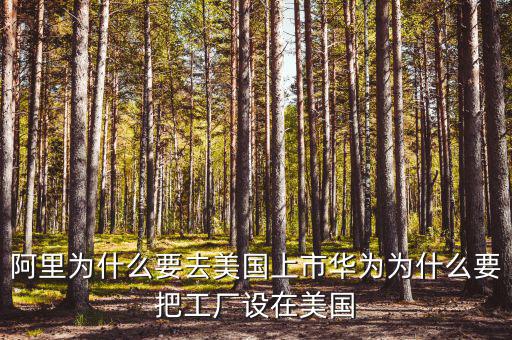 阿里為什么要去美國上市華為為什么要把工廠設在美國
