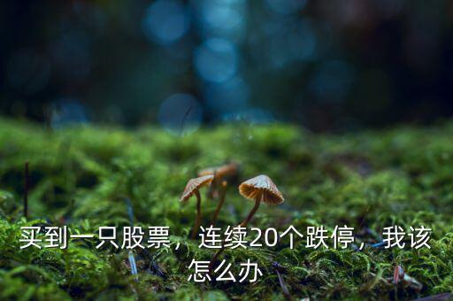 買到一只股票，連續(xù)20個跌停，我該怎么辦