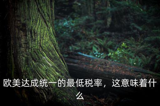 歐美達(dá)成統(tǒng)一的最低稅率，這意味著什么