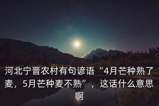 河北寧晉農(nóng)村有句諺語“4月芒種熟了麥，5月芒種麥不熟”，這話什么意思啊