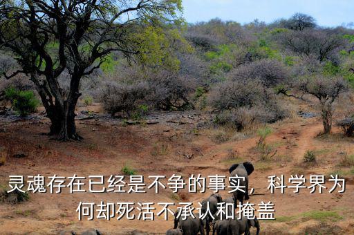 靈魂存在已經(jīng)是不爭的事實(shí)，科學(xué)界為何卻死活不承認(rèn)和掩蓋
