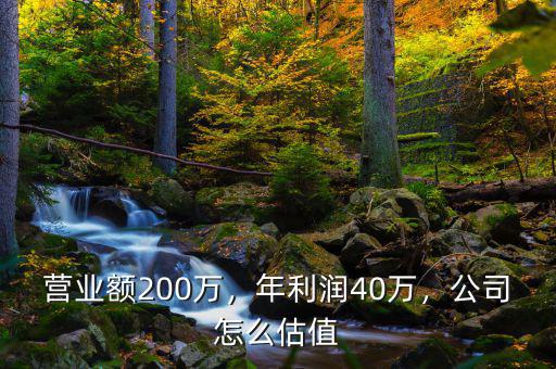 營業(yè)額200萬，年利潤40萬，公司怎么估值