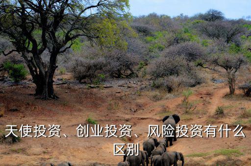 天使投資、創(chuàng)業(yè)投資、風險投資有什么區(qū)別