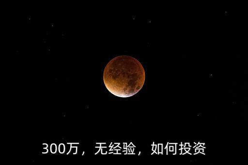 300萬(wàn)，無(wú)經(jīng)驗(yàn)，如何投資