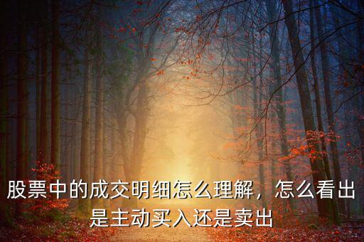 股票中的成交明細(xì)怎么理解，怎么看出是主動(dòng)買入還是賣出
