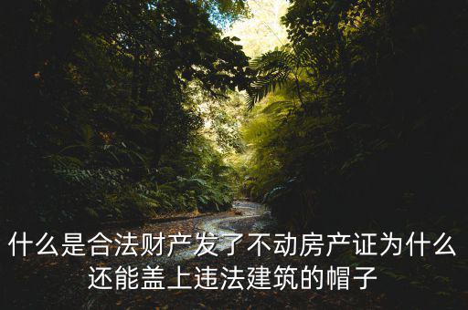 什么是不動(dòng)產(chǎn)權(quán)證,為什么要辦理不動(dòng)產(chǎn)權(quán)證書(shū)