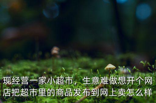 現(xiàn)經(jīng)營一家小超市，生意難做想開個網(wǎng)店把超市里的商品發(fā)布到網(wǎng)上賣怎么樣