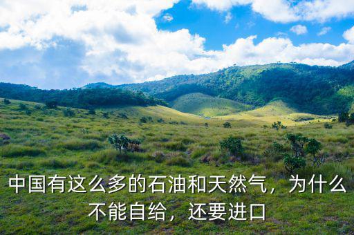 中國有這么多的石油和天然氣，為什么不能自給，還要進口