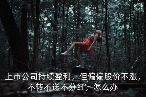 上市公司持續(xù)盈利，但偏偏股價(jià)不漲，不轉(zhuǎn)不送不分紅，怎么辦