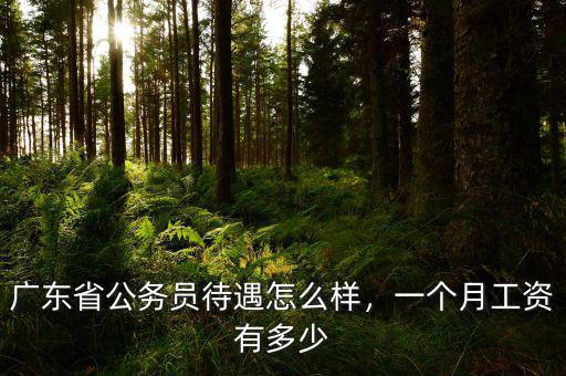廣東省公務(wù)員待遇怎么樣，一個月工資有多少