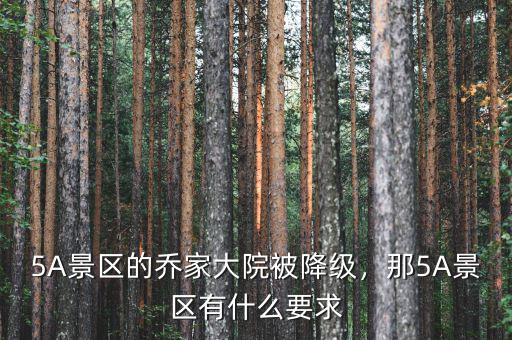 5A景區(qū)的喬家大院被降級(jí)，那5A景區(qū)有什么要求