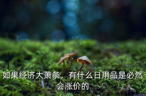 如果經(jīng)濟大蕭條，有什么日用品是必然會漲價的