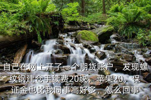 自己在網(wǎng)上開了一個(gè)期貨賬戶，發(fā)現(xiàn)螺紋鋼建倉(cāng)手續(xù)費(fèi)20塊，蘋果20，保證金也比我同事高好多，怎么回事