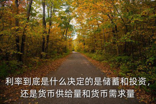 利率到底是什么決定的是儲(chǔ)蓄和投資，還是貨幣供給量和貨幣需求量