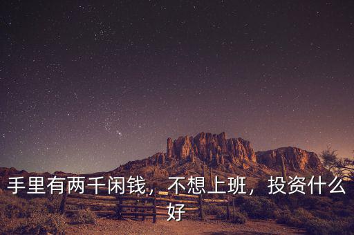 手里有兩千閑錢(qián)，不想上班，投資什么好