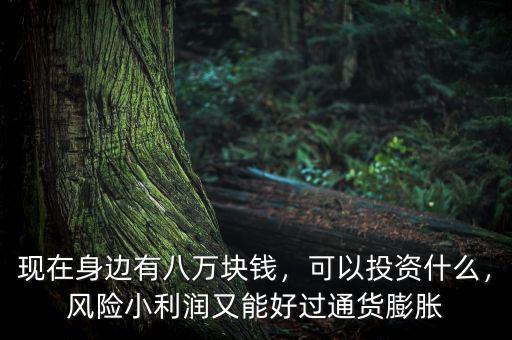 現(xiàn)在身邊有八萬(wàn)塊錢(qián)，可以投資什么，風(fēng)險(xiǎn)小利潤(rùn)又能好過(guò)通貨膨脹