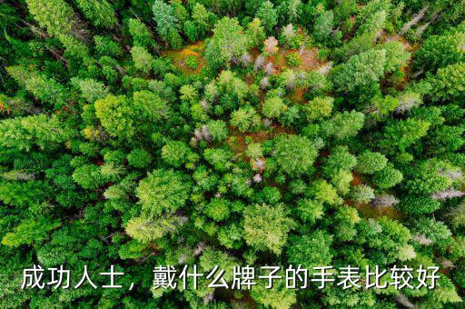 成功人士，戴什么牌子的手表比較好