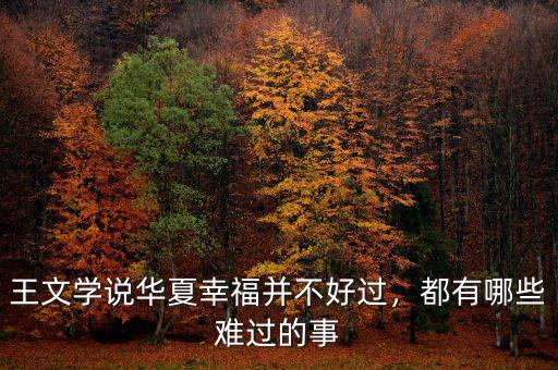 王文學(xué)說(shuō)華夏幸福并不好過(guò)，都有哪些難過(guò)的事