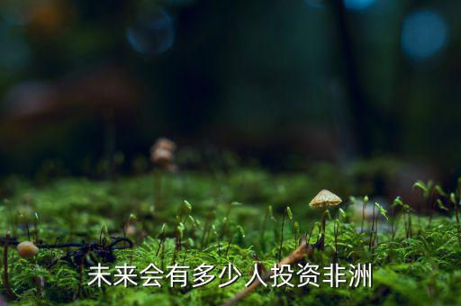 中國(guó)在非洲投資多少,去非洲投資開(kāi)廠需要多少錢(qián)