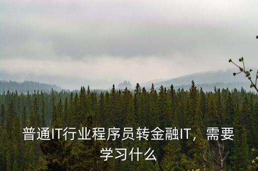 普通IT行業(yè)程序員轉(zhuǎn)金融IT，需要學(xué)習(xí)什么